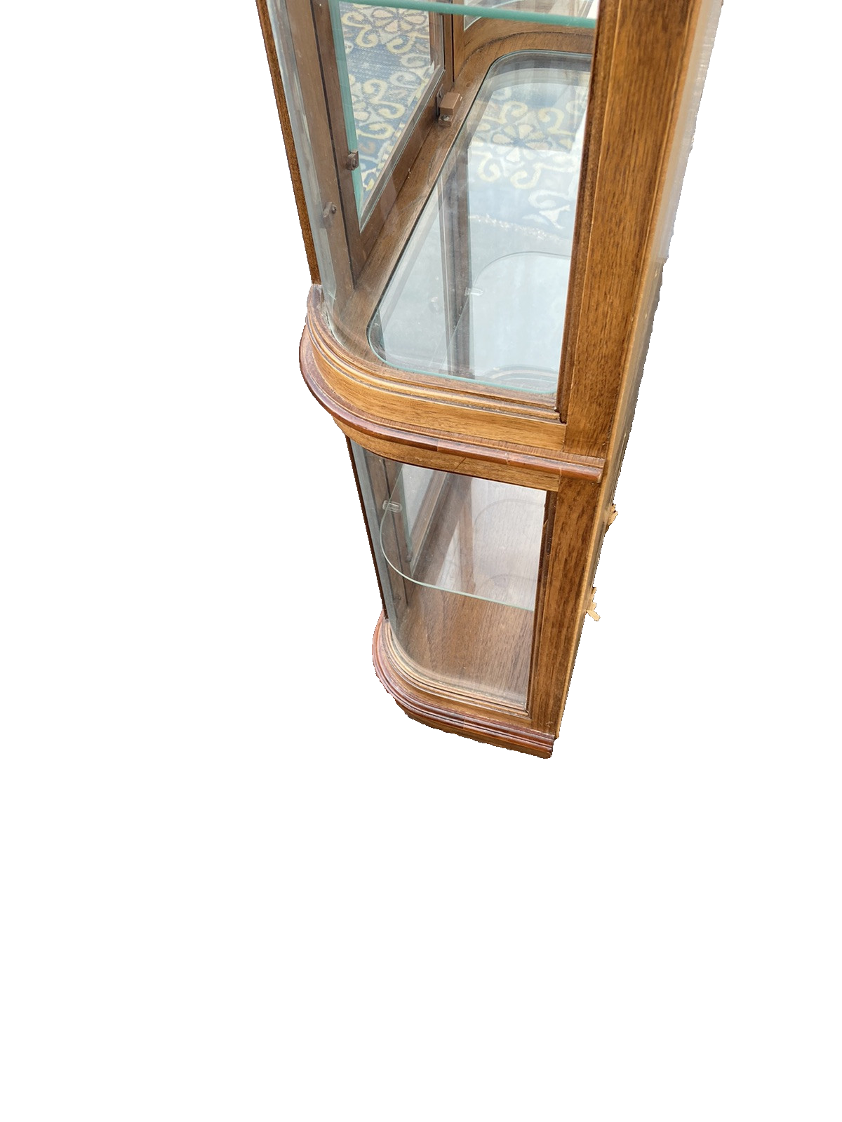 66240 Modern Pulaski Furniture Bow Glass Curio with Beveled Glass Front panels