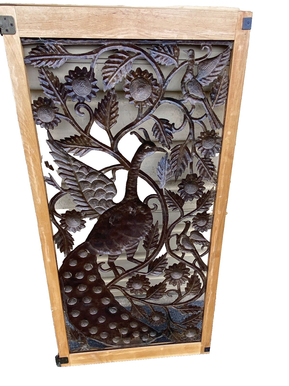 65824 Modern Wall Art Peacock Design in Picture Frame