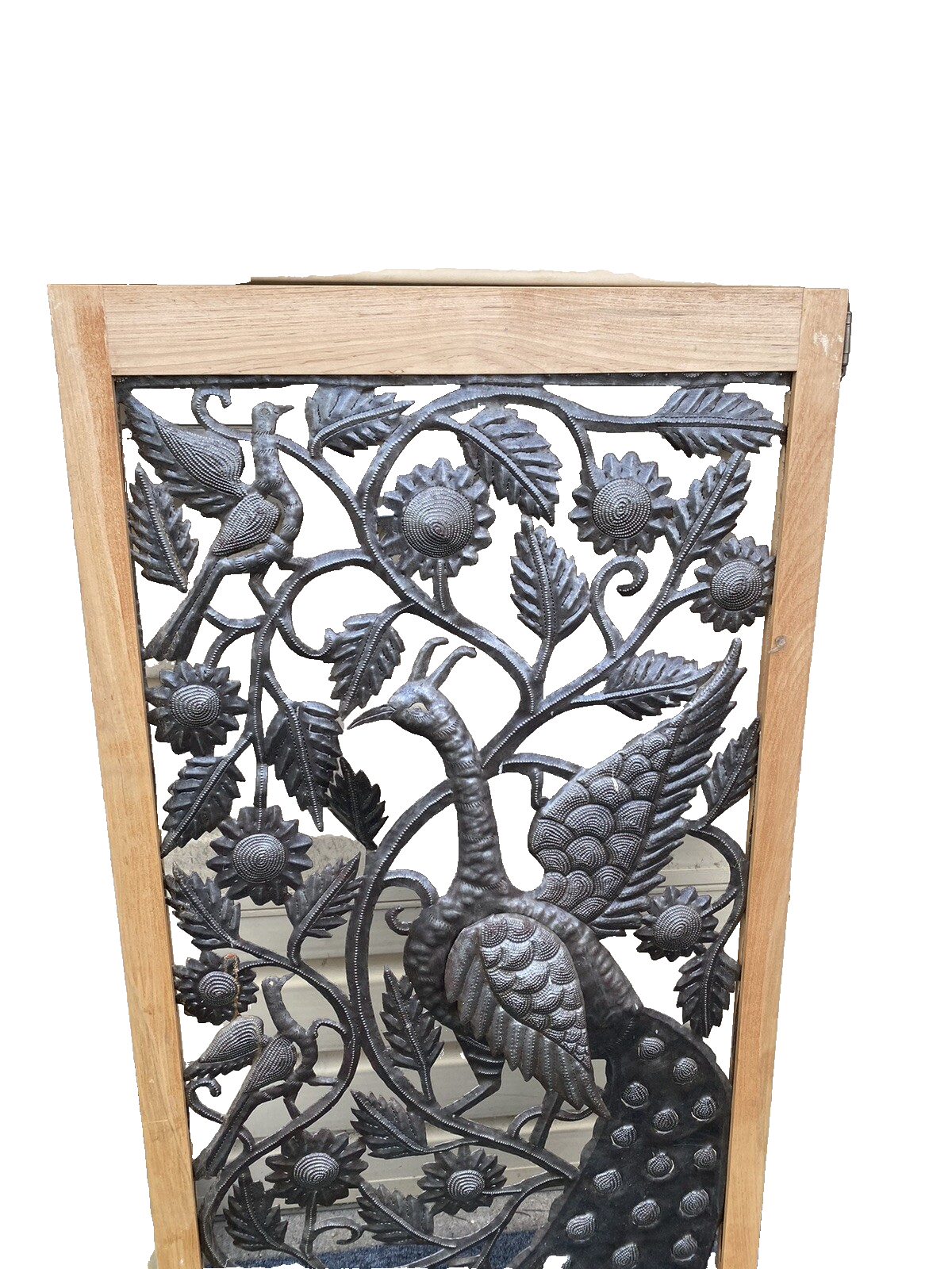 65824 Modern Wall Art Peacock Design in Picture Frame