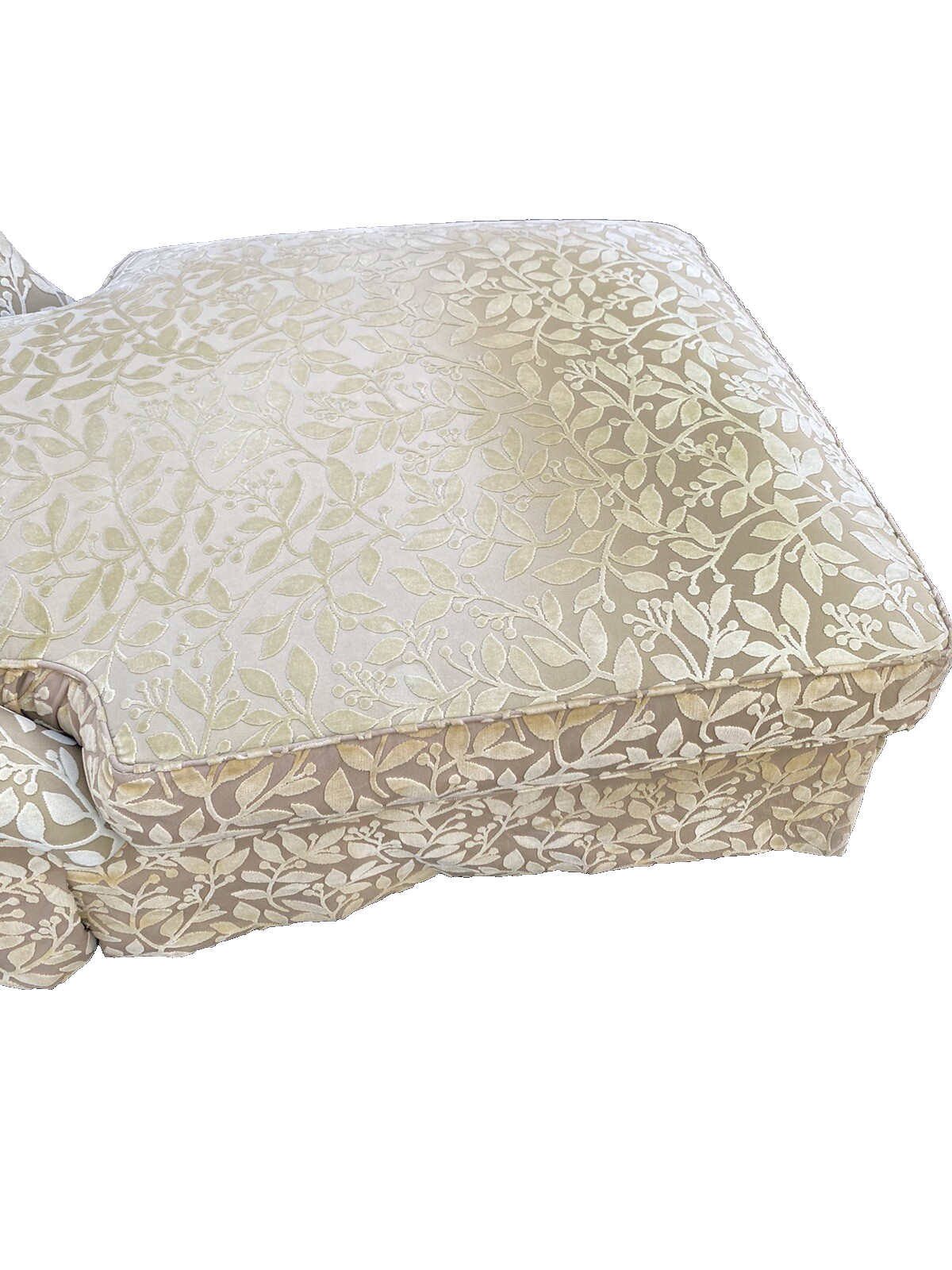 65347 Modern Chaise Lounge with Removable Seat and Cushion