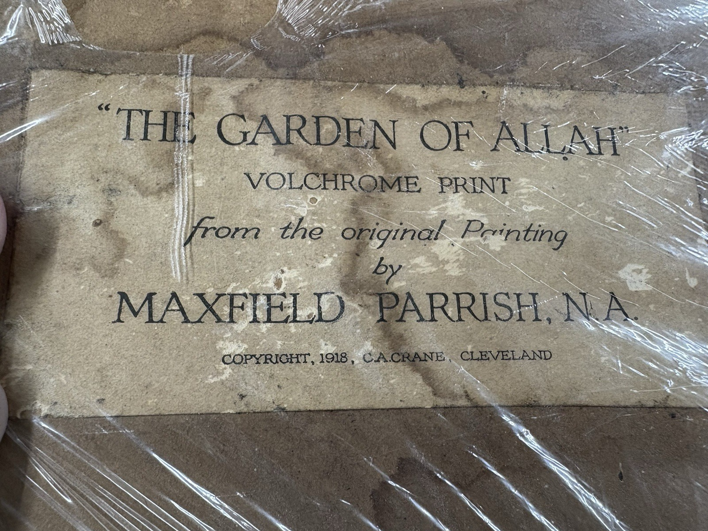 66779 MAXFIELD PARRISH Print in Picture Frame THE GARDEN IN ALLAH