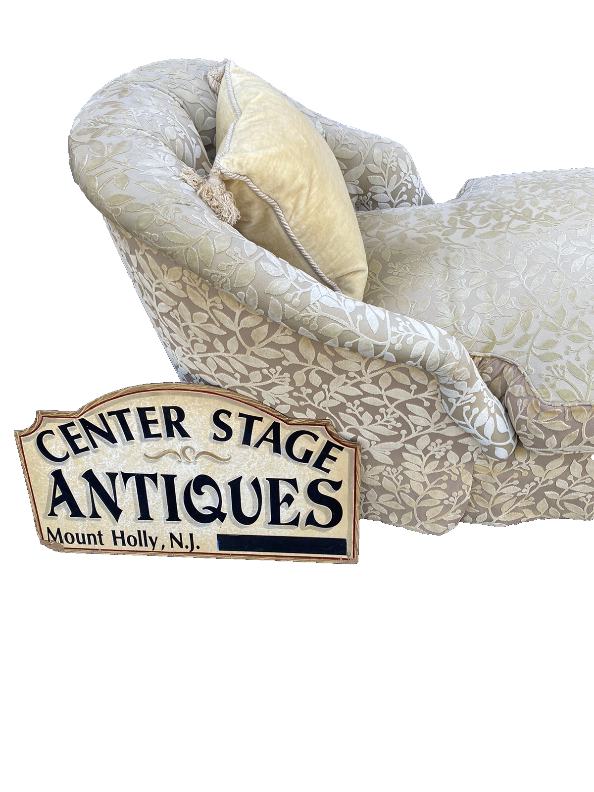 65347 Modern Chaise Lounge with Removable Seat and Cushion
