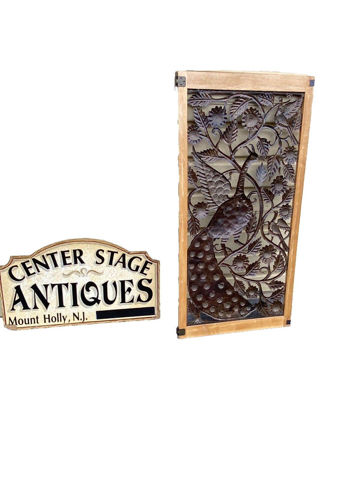 65824 Modern Wall Art Peacock Design in Picture Frame