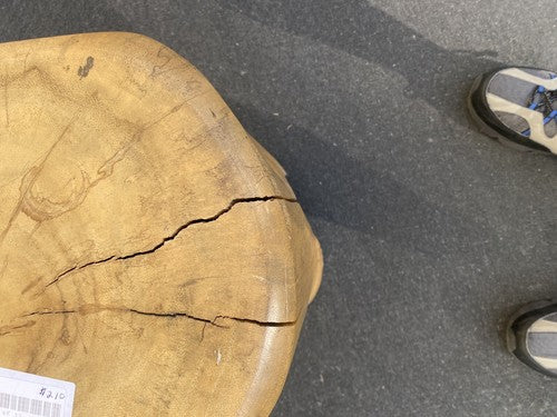 65683 Modern Lamp Table Stand Stump Wood