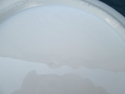 COL 01 MWW:  SET OF 11 ANTIQUE PORCELAIN URN & FLOWERS 8" PLATES