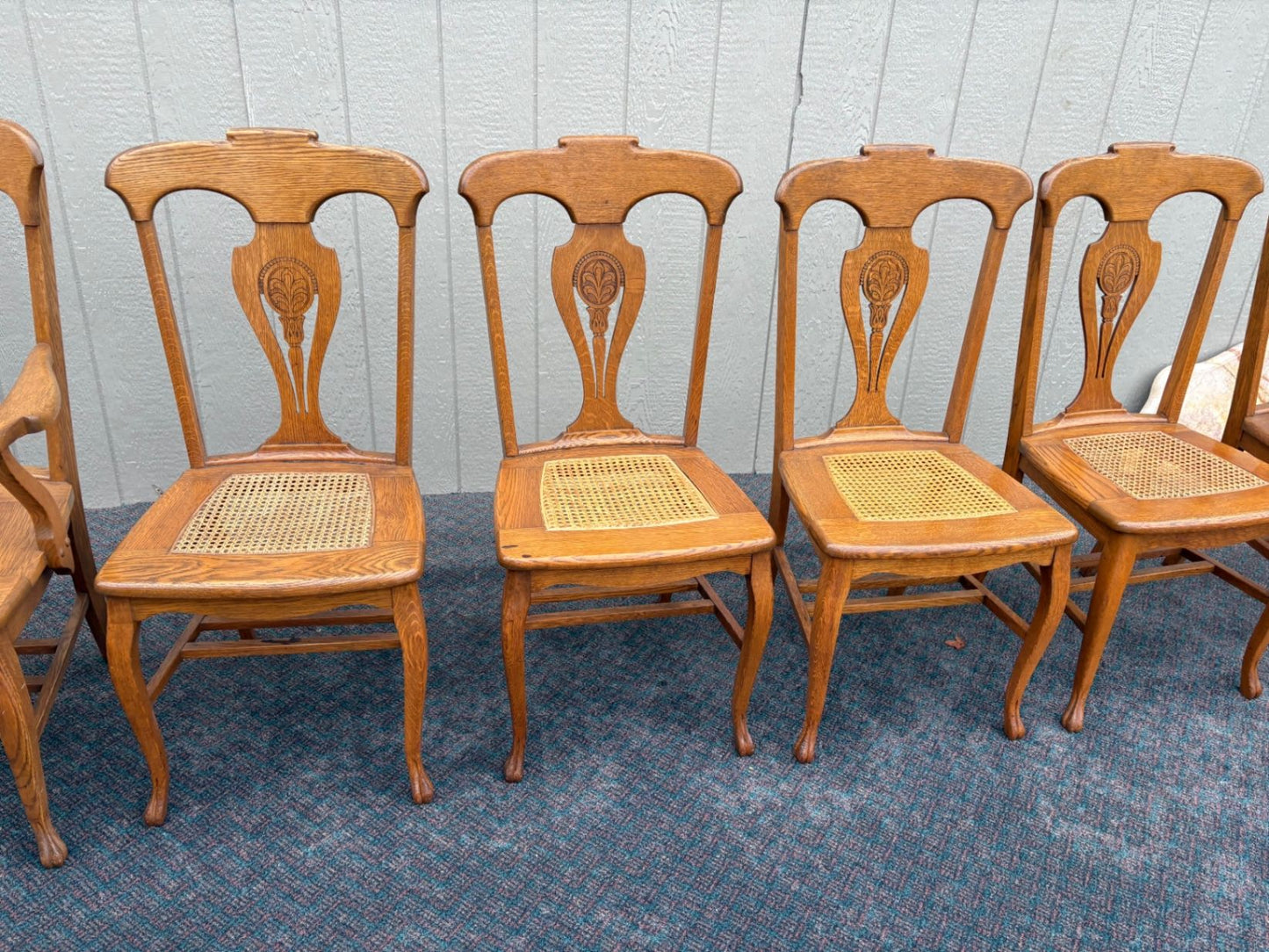 67360 Set of 6 Oak Dining Chairs, Queen Anne Style with Cane Seats