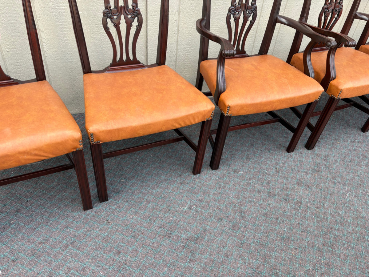 66988  Set of 6 Charak Dining Chairs, Chippendale Style, Mahogany