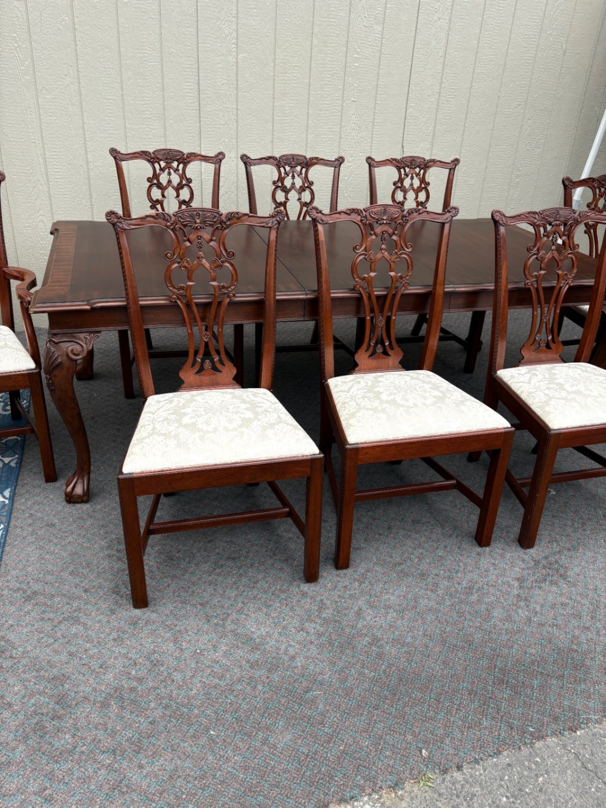 67877  Chippendale Style Dining Table with 8 Carved Chairs in Mahogany