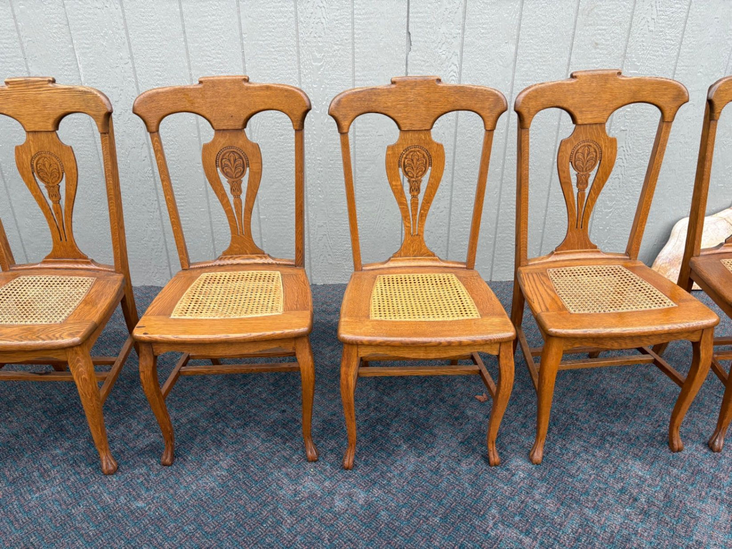 67360 Set of 6 Oak Dining Chairs, Queen Anne Style with Cane Seats