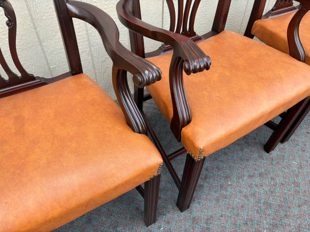 66988  Set of 6 Charak Dining Chairs, Chippendale Style, Mahogany