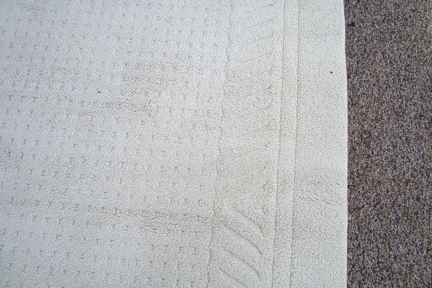 RUG 204:   Ivory Carpet Rug  Size  60" x 100"
