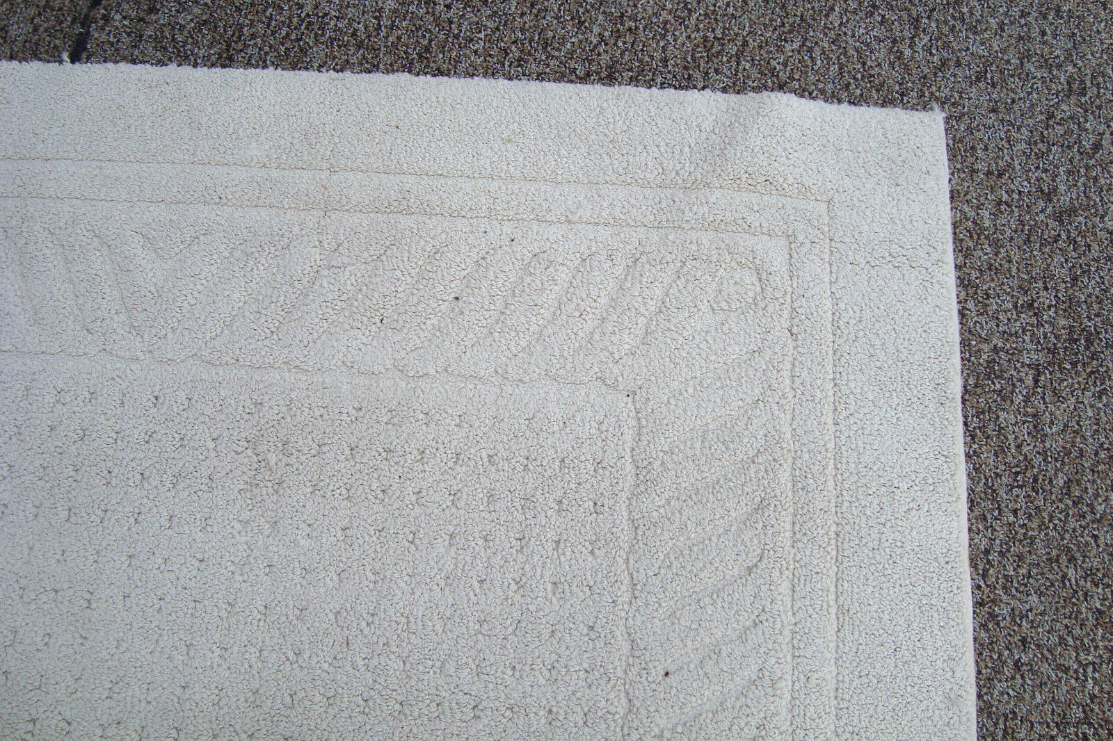 RUG 204:   Ivory Carpet Rug  Size  60" x 100"