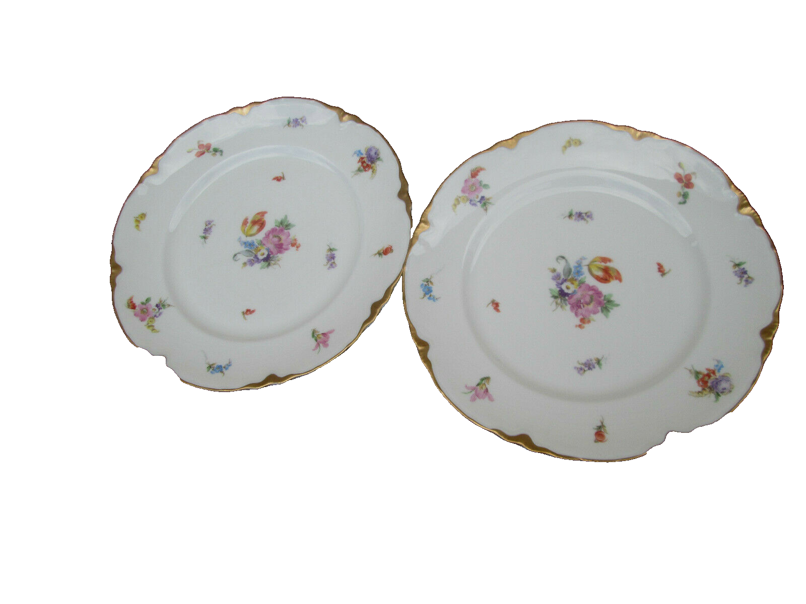 COL WW:  SET OF 10 WARWICK VINTAGE PORECLAIN FLORAL DINNER PLATES