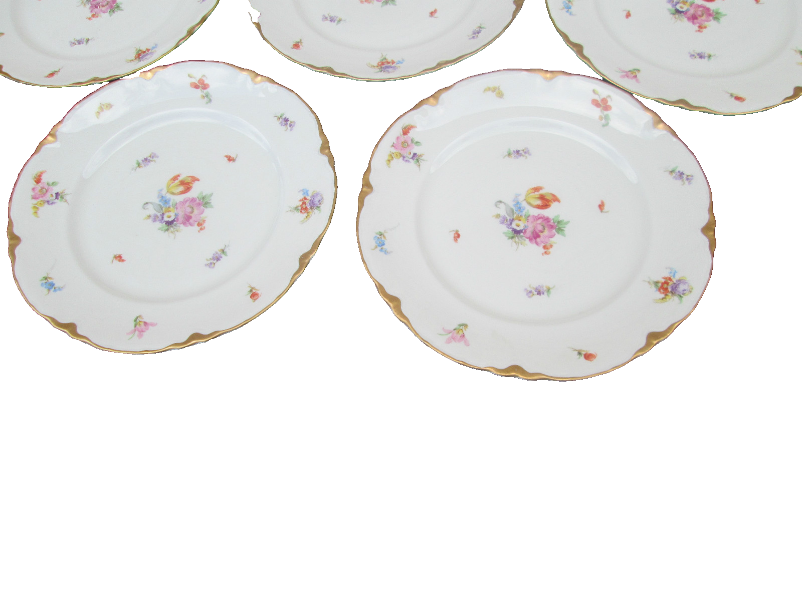 COL WW:  SET OF 10 WARWICK VINTAGE PORECLAIN FLORAL DINNER PLATES