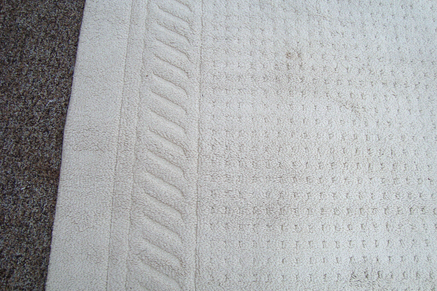 RUG 204:   Ivory Carpet Rug  Size  60" x 100"