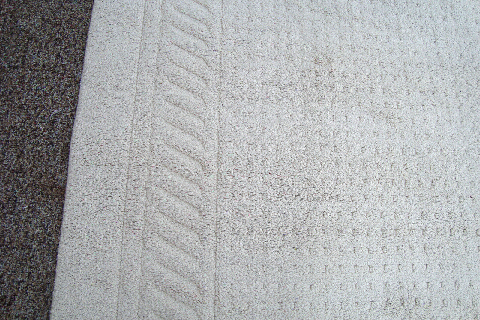 RUG 204:   Ivory Carpet Rug  Size  60" x 100"
