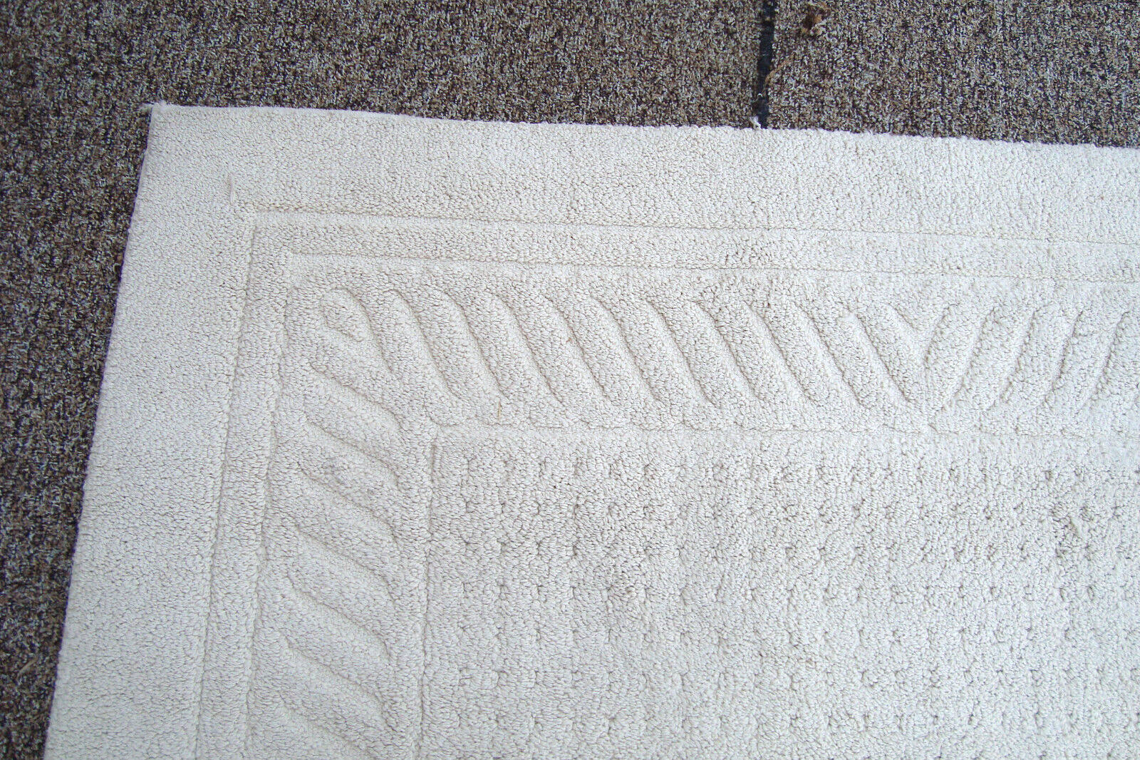 RUG 204:   Ivory Carpet Rug  Size  60" x 100"