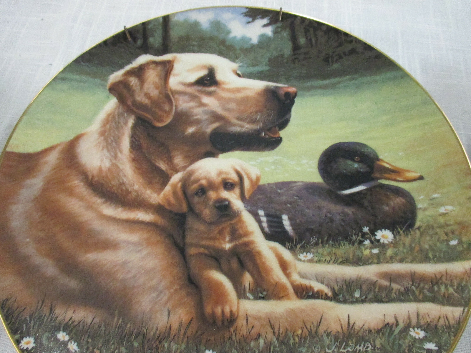 ES Set of 5 FRANKLIN MINT  Dog Porcelain Plates  8" diameter