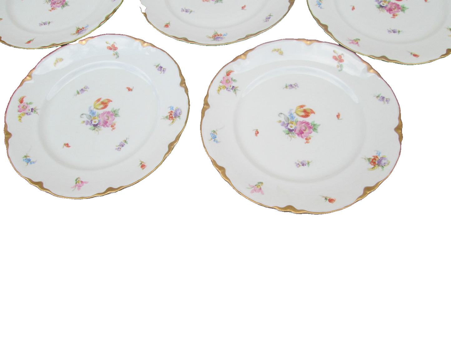 COL  10 WW:  SET OF 10 WARWICK VINTAGE PORECLAIN FLORAL DINNER PLATES