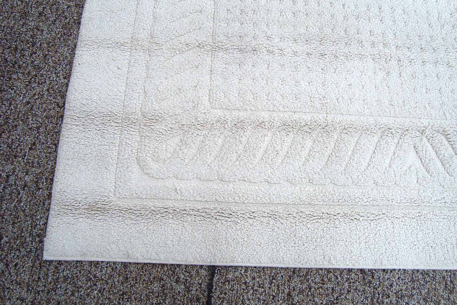 RUG 204:   Ivory Carpet Rug  Size  60" x 100"