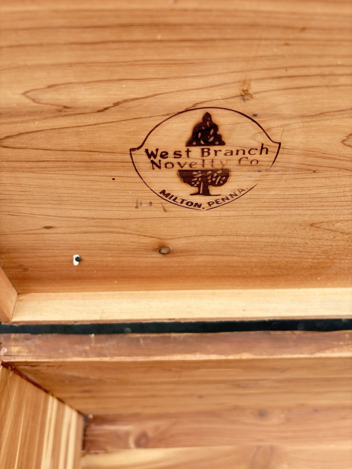 66786 Antique WEST BRANCH  Mahogany Blanket Cedar Lined Storage chest