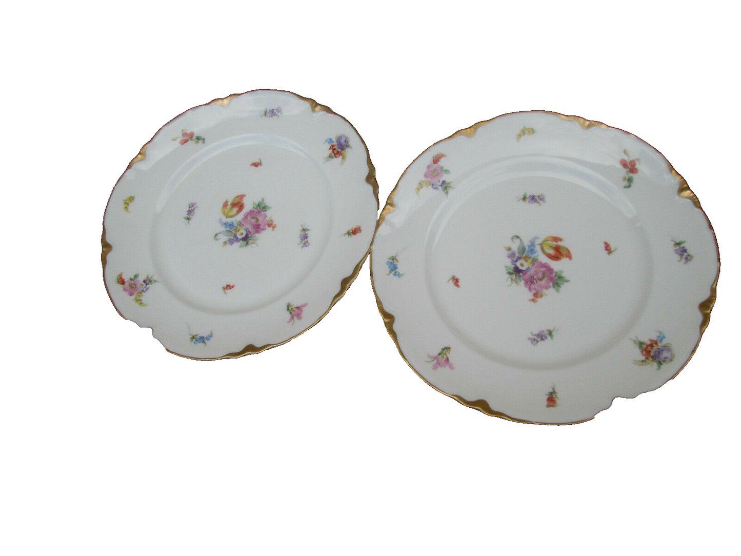 COL  10 WW:  SET OF 10 WARWICK VINTAGE PORECLAIN FLORAL DINNER PLATES