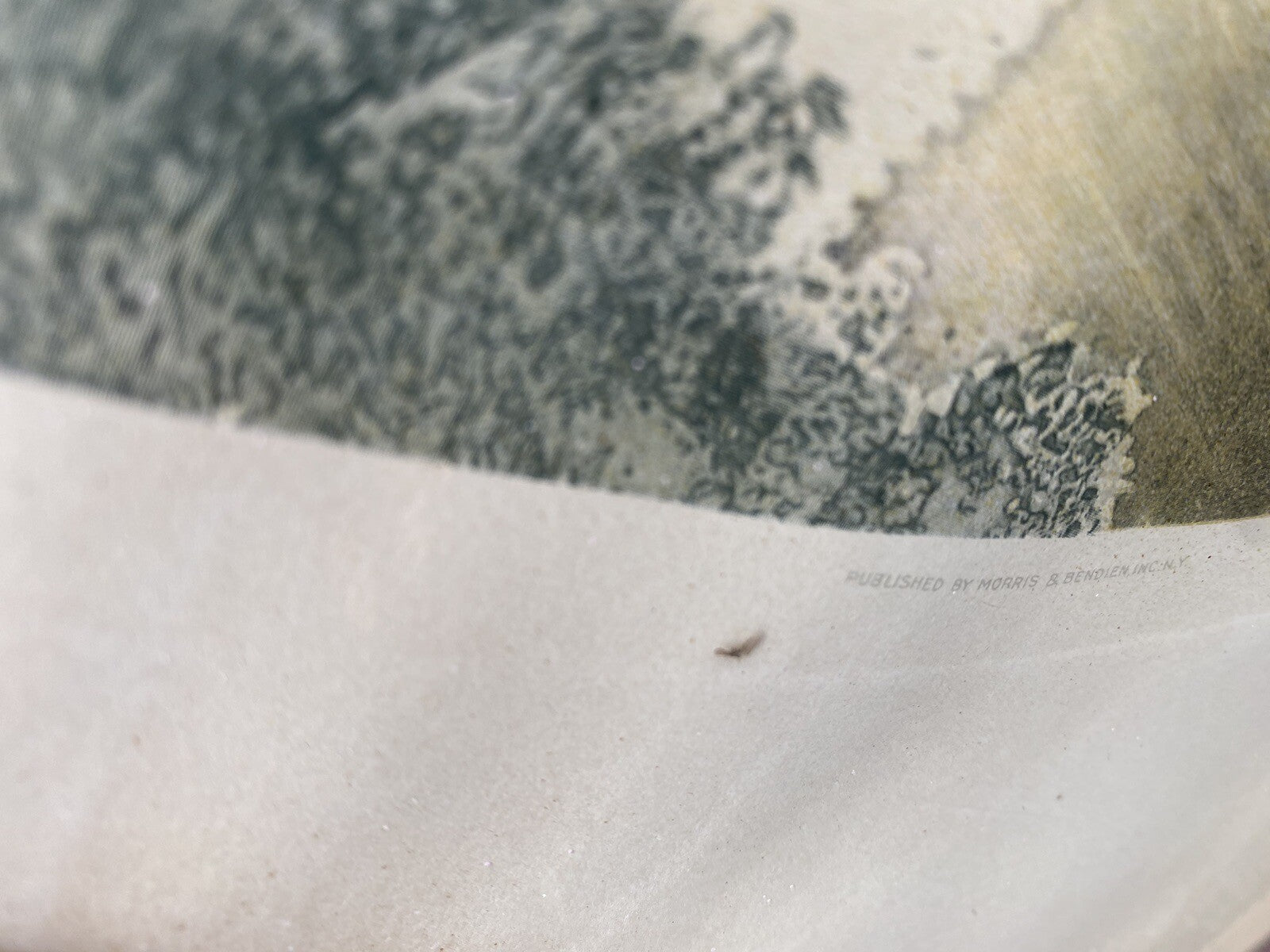 65135 Old ICART Print LE PANIER DE FOMMES Morris Bender INC