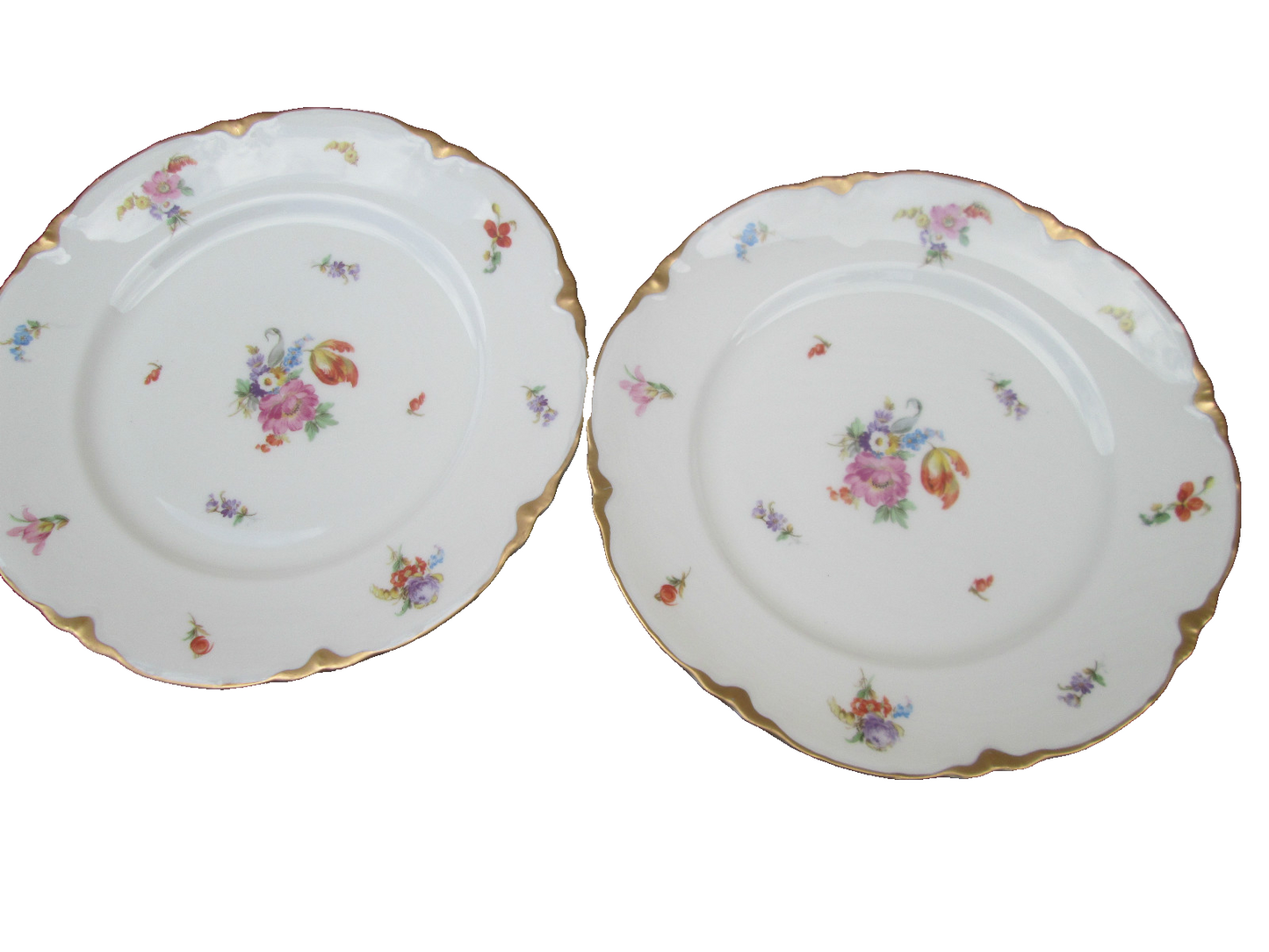 COL WW:  SET OF 10 WARWICK VINTAGE PORECLAIN FLORAL DINNER PLATES