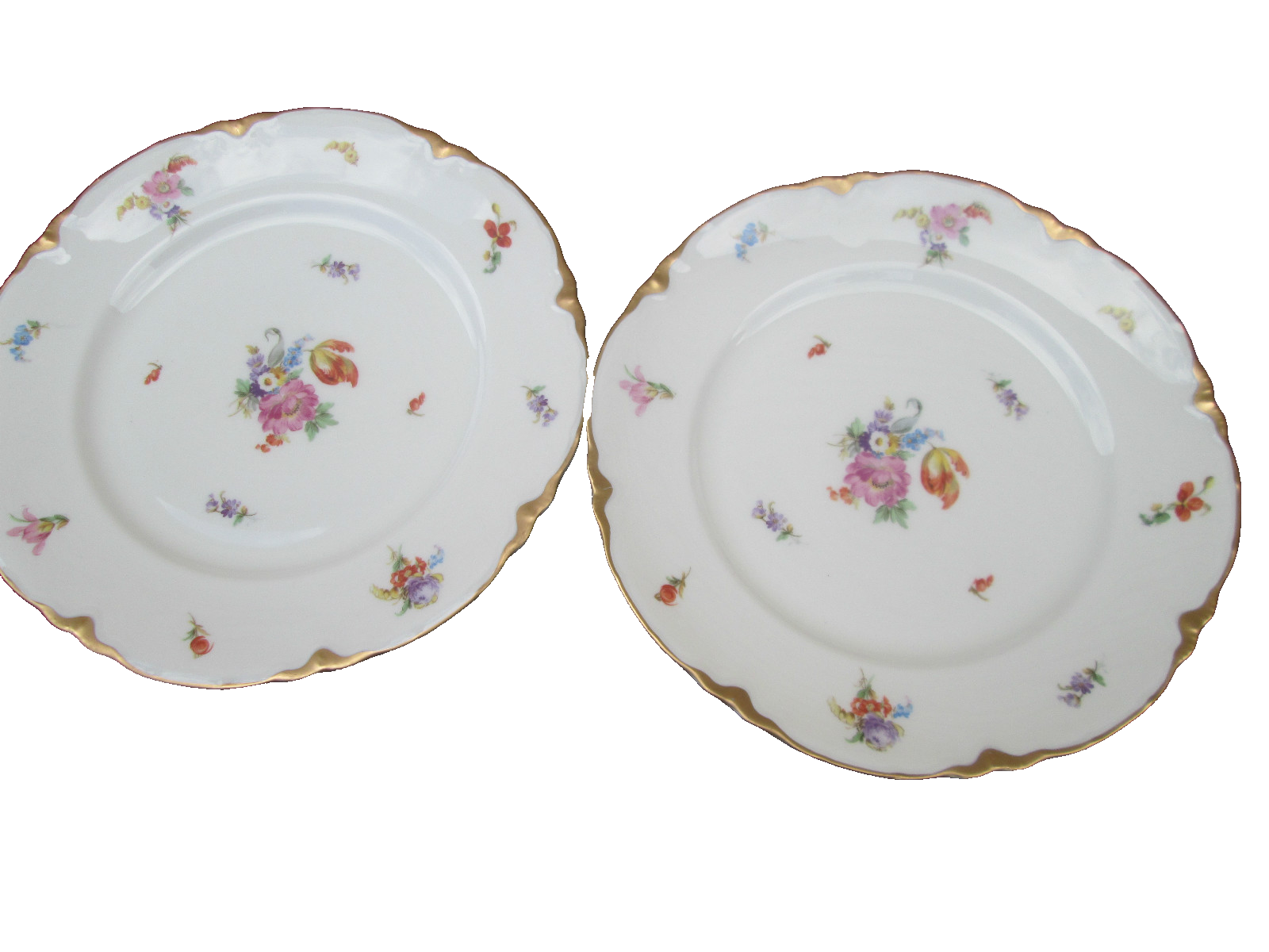 COL WW:  SET OF 10 WARWICK VINTAGE PORECLAIN FLORAL DINNER PLATES