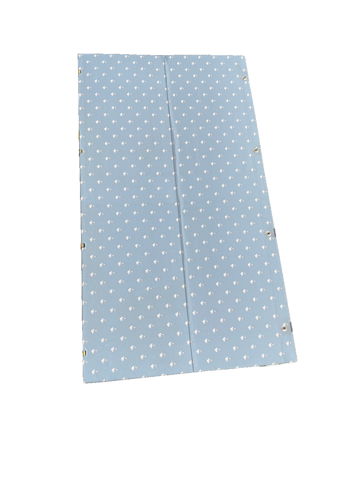 65633  Antique  WANAMAKER PANAMA EXPOSITION Flat Top Trunk with Covered tray