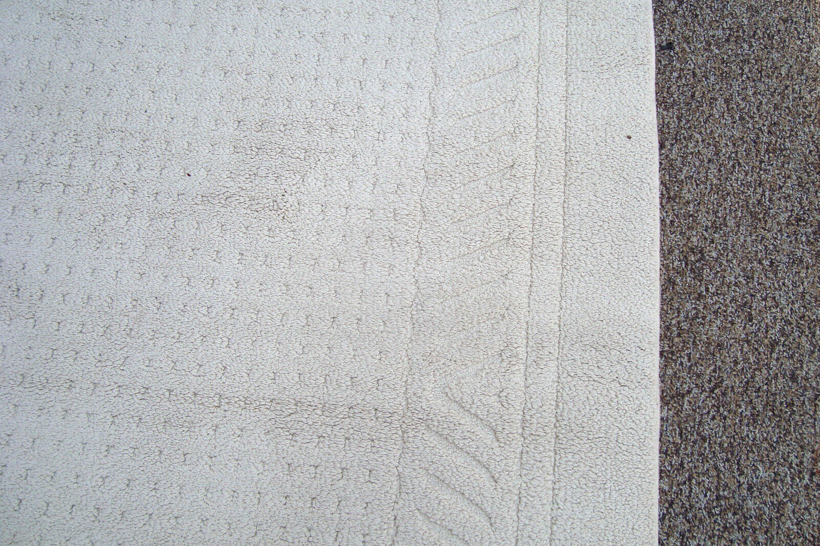 RUG 204:   Ivory Carpet Rug  Size  60" x 100"