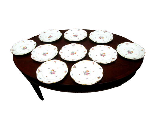 COL  10 WW:  SET OF 10 WARWICK VINTAGE PORECLAIN FLORAL DINNER PLATES