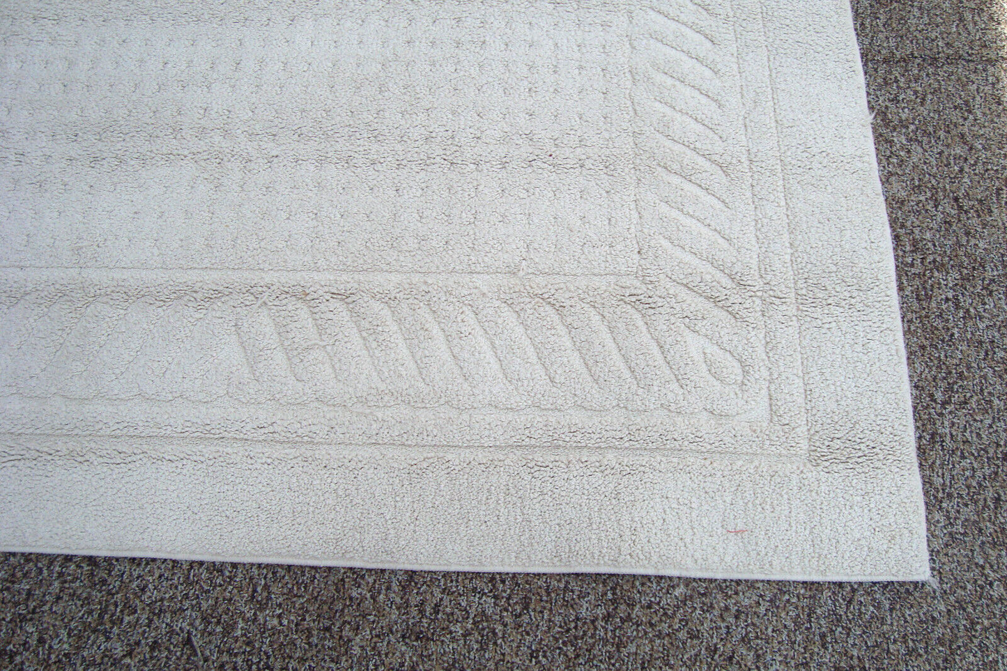 RUG 204:   Ivory Carpet Rug  Size  60" x 100"