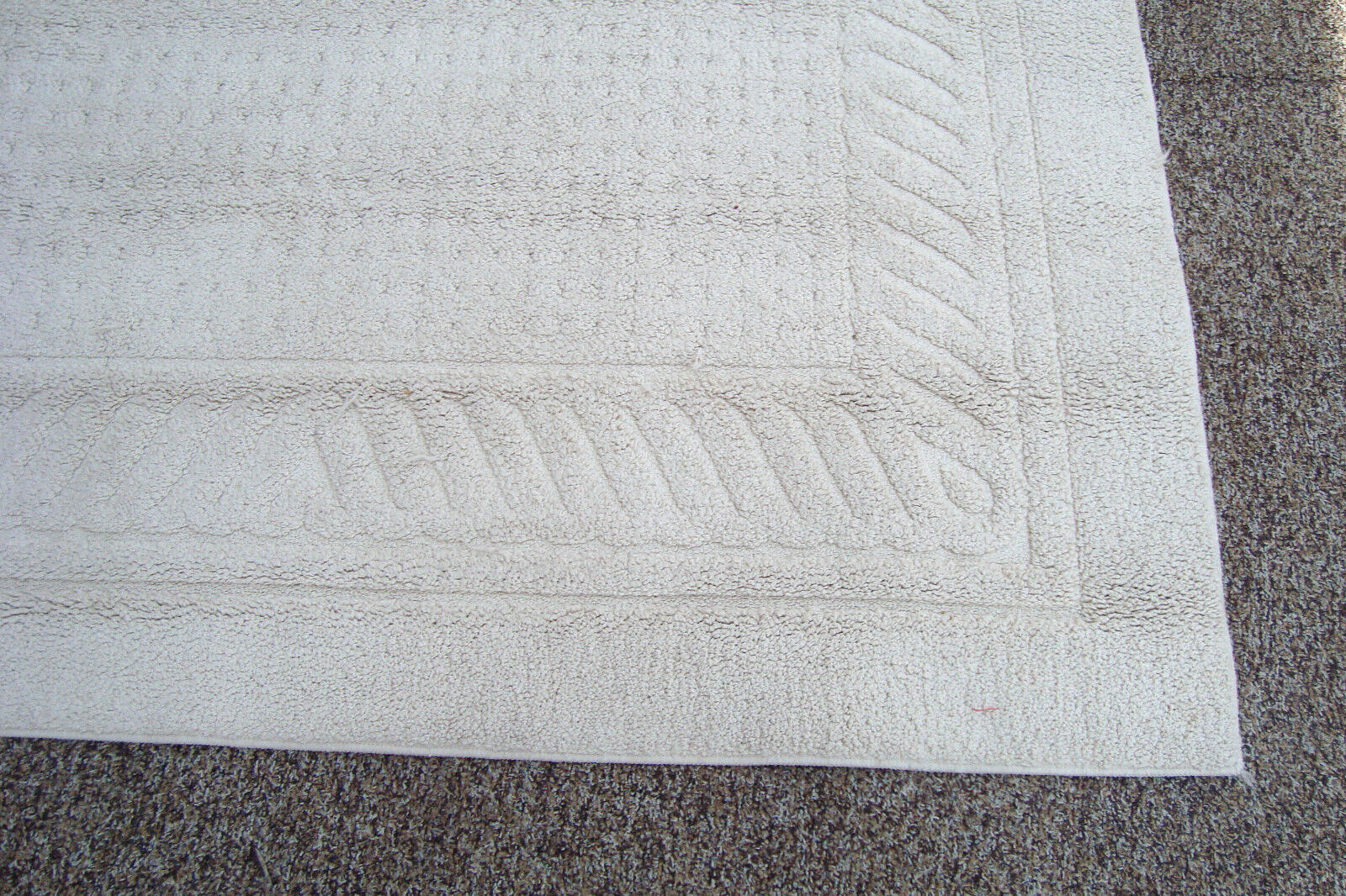 RUG 204:   Ivory Carpet Rug  Size  60" x 100"