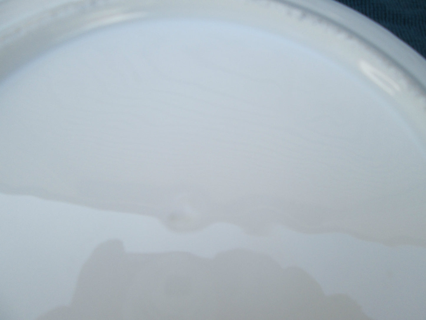 COL MWW:  SET OF 11 ANTIQUE PORCELAIN URN & FLOWERS 8" PLATES