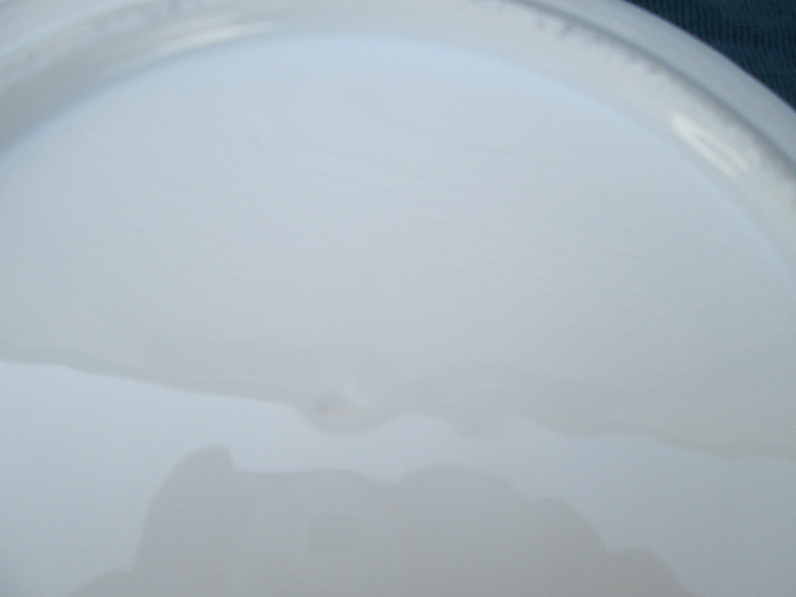 COL MWW:  SET OF 11 ANTIQUE PORCELAIN URN & FLOWERS 8" PLATES