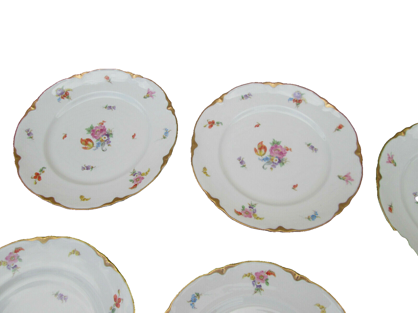 COL WW:  SET OF 10 WARWICK VINTAGE PORECLAIN FLORAL DINNER PLATES