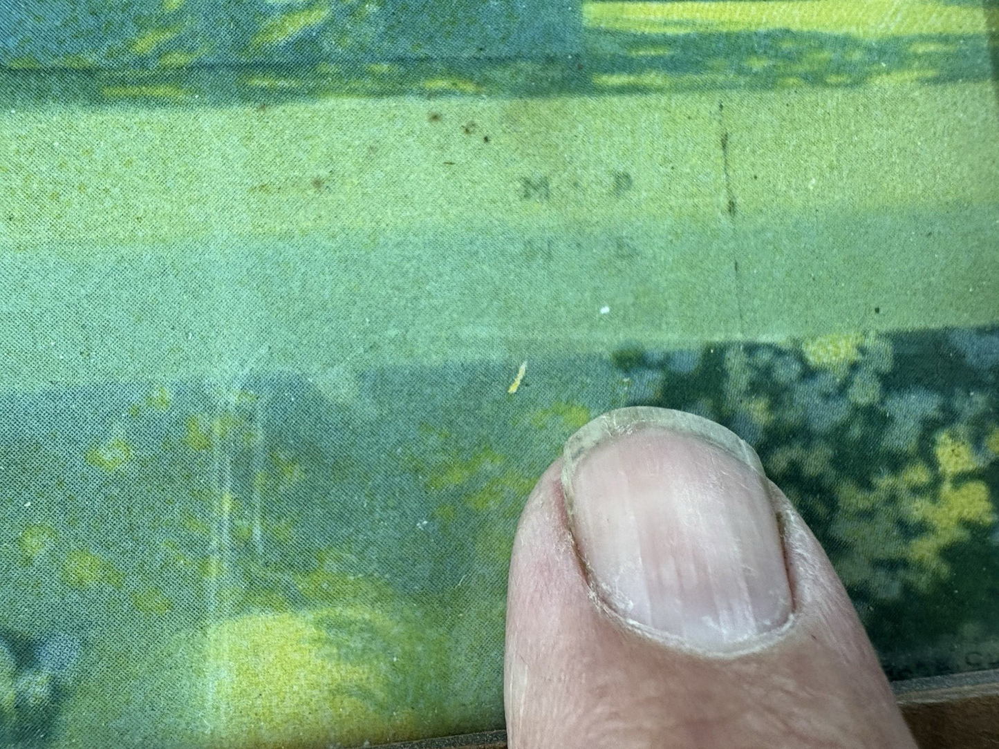 66779 MAXFIELD PARRISH Print in Picture Frame THE GARDEN IN ALLAH