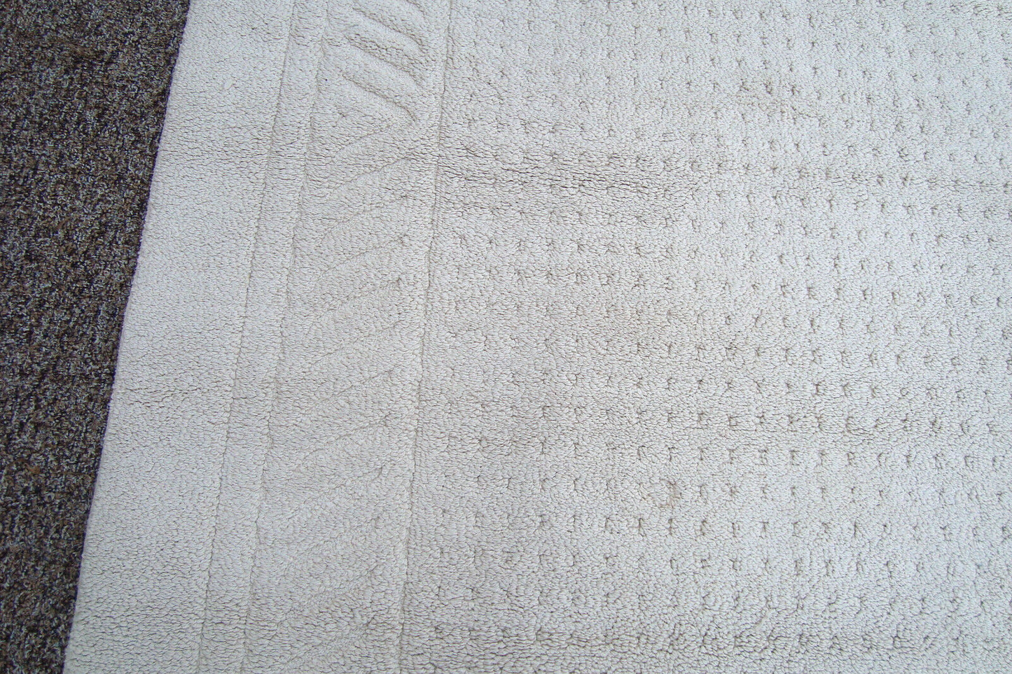 RUG 204:   Ivory Carpet Rug  Size  60" x 100"