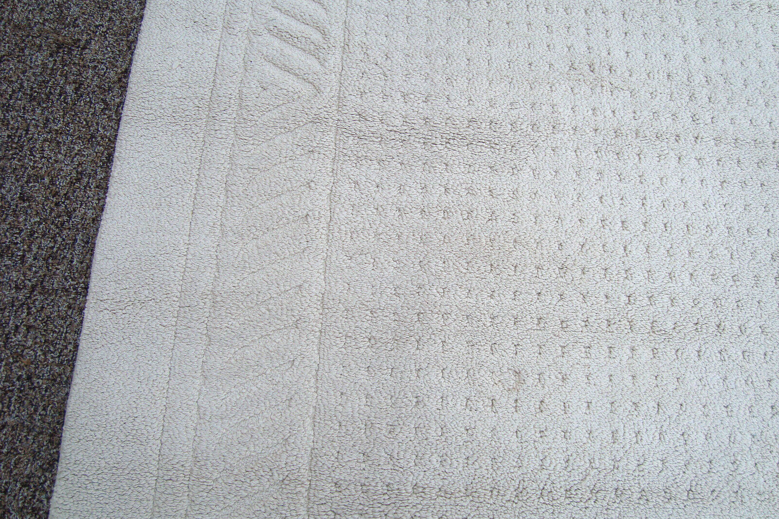RUG 204:   Ivory Carpet Rug  Size  60" x 100"