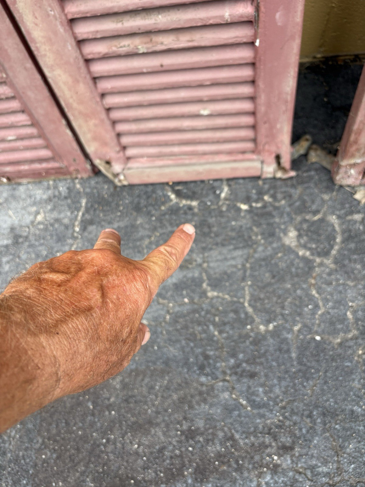 00001 Collection of 10 Antique Victorian House Shutters