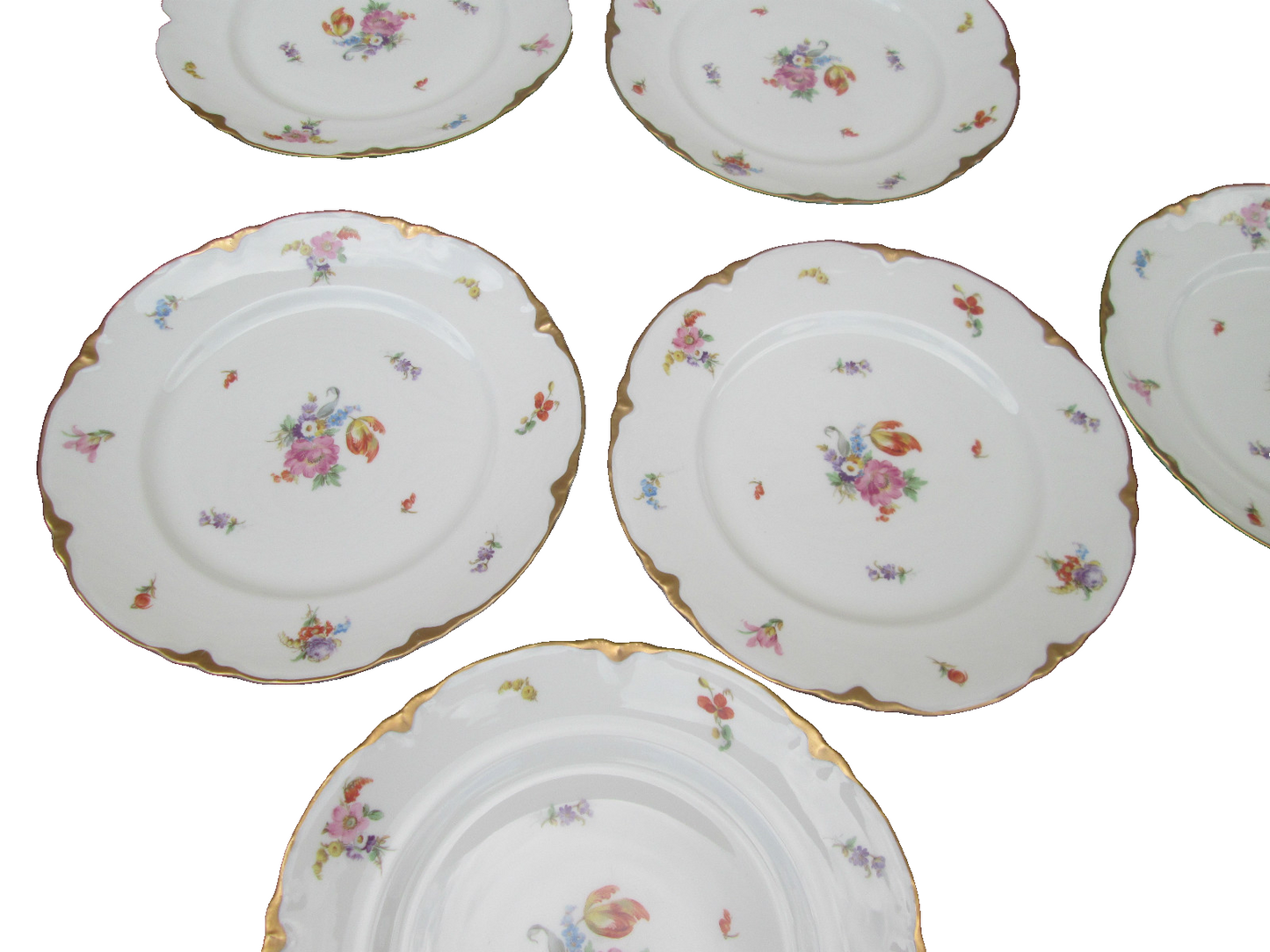 COL WW:  SET OF 10 WARWICK VINTAGE PORECLAIN FLORAL DINNER PLATES