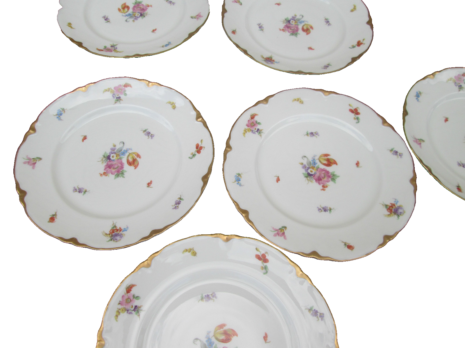 COL WW:  SET OF 10 WARWICK VINTAGE PORECLAIN FLORAL DINNER PLATES