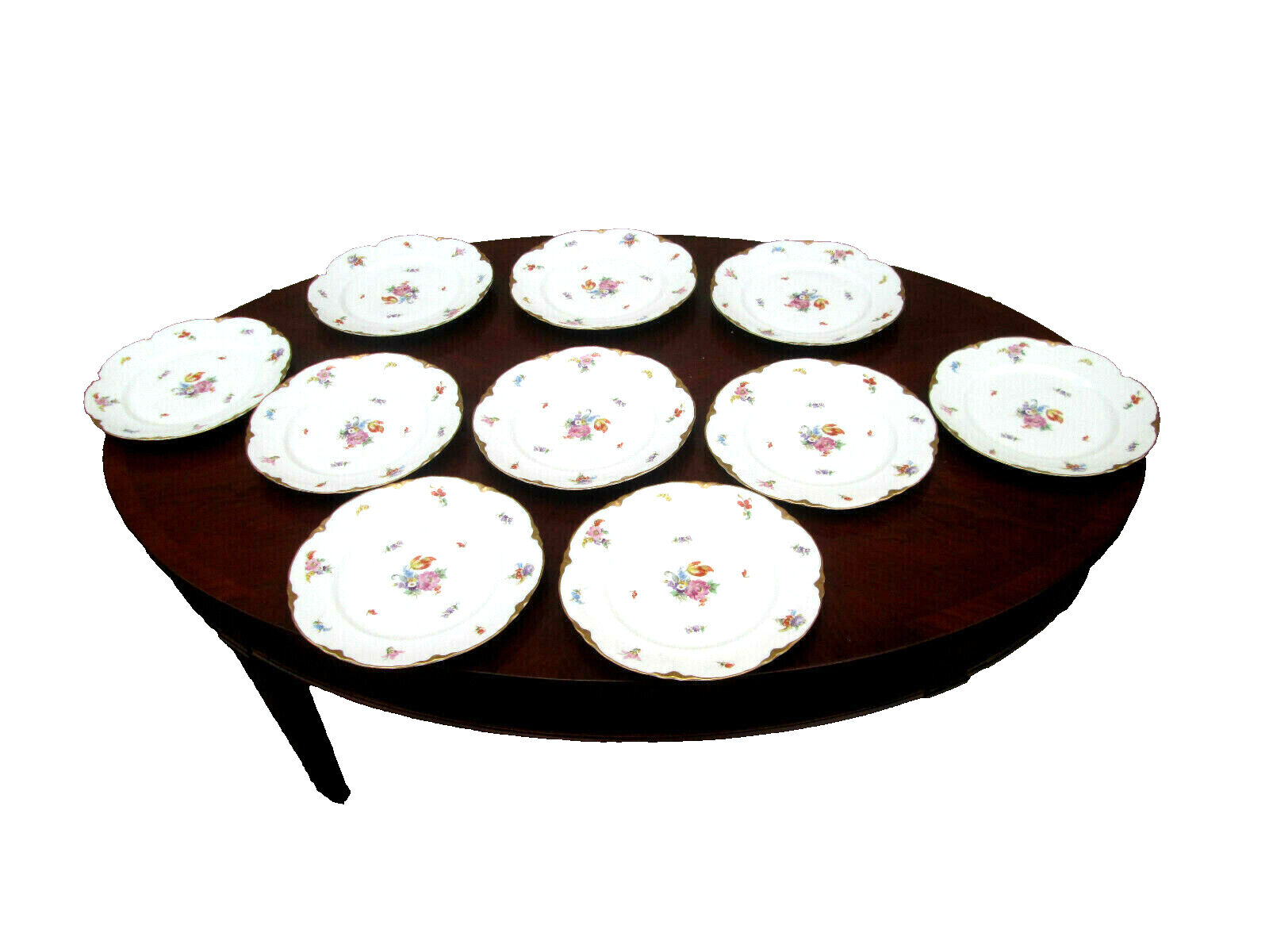 COL WW:  SET OF 10 WARWICK VINTAGE PORECLAIN FLORAL DINNER PLATES