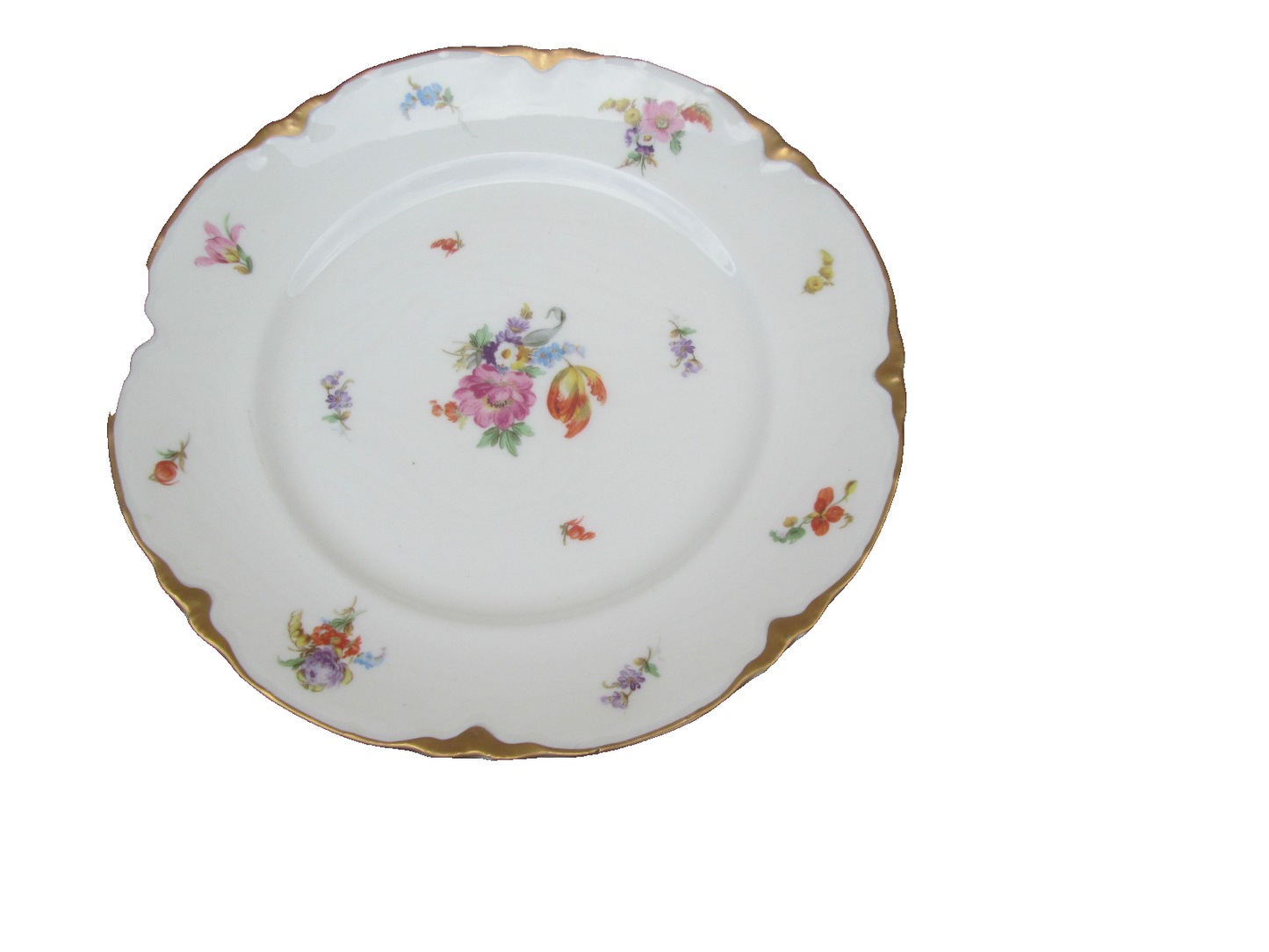 COL WW:  SET OF 10 WARWICK VINTAGE PORECLAIN FLORAL DINNER PLATES
