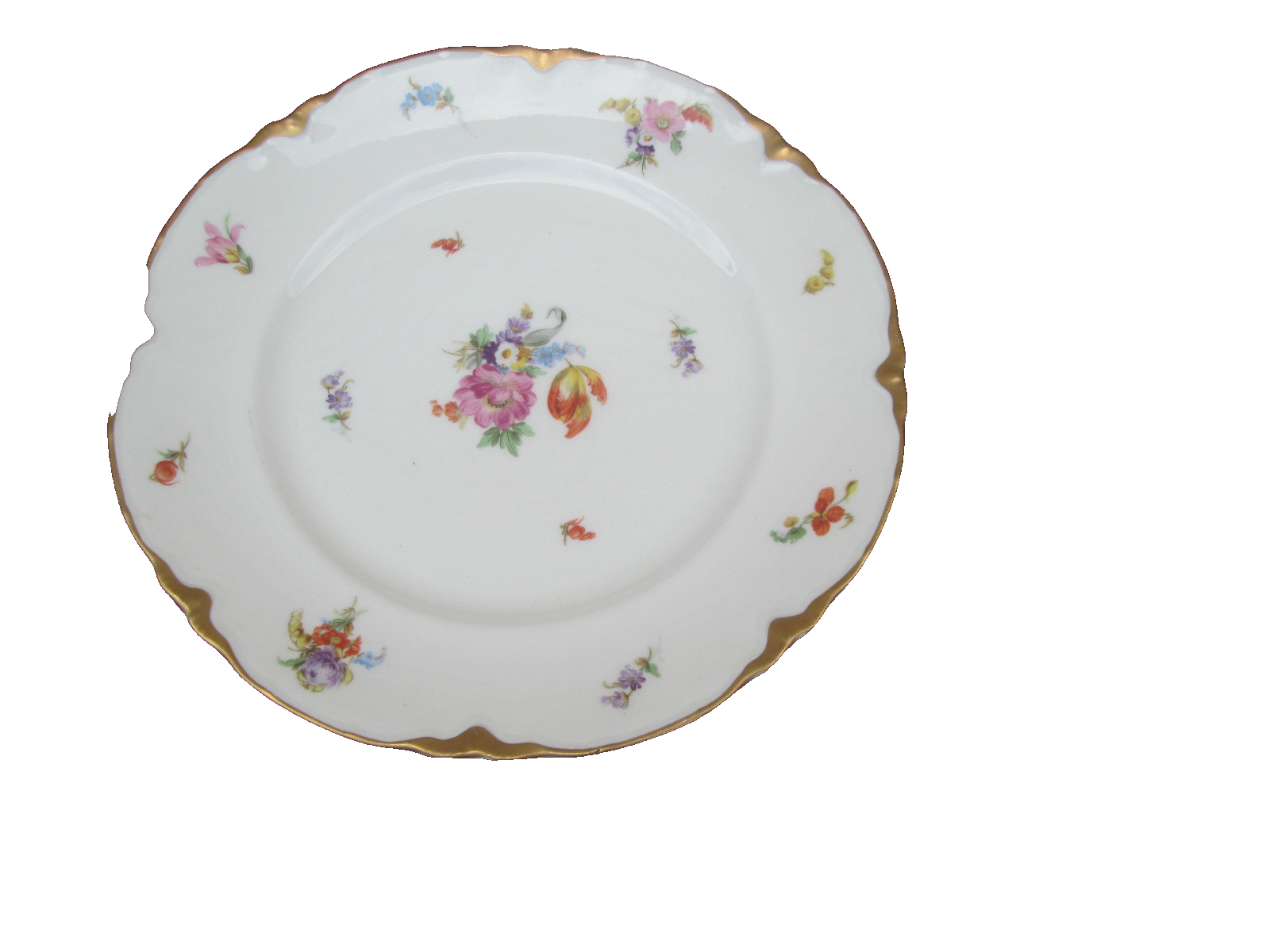 COL WW:  SET OF 10 WARWICK VINTAGE PORECLAIN FLORAL DINNER PLATES