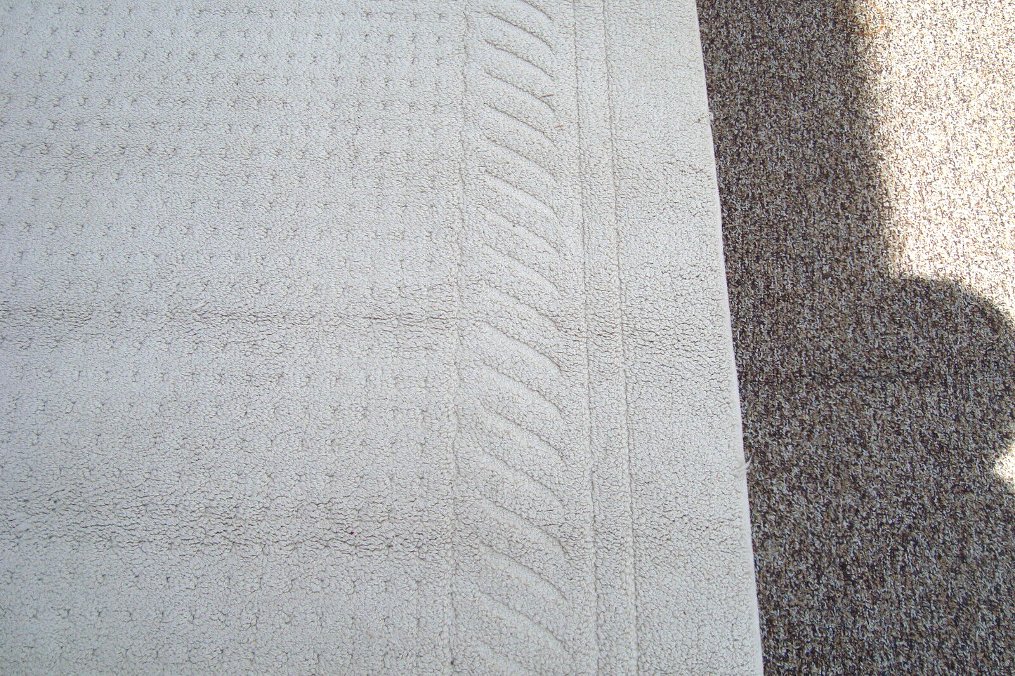 RUG 204:   Ivory Carpet Rug  Size  60" x 100"