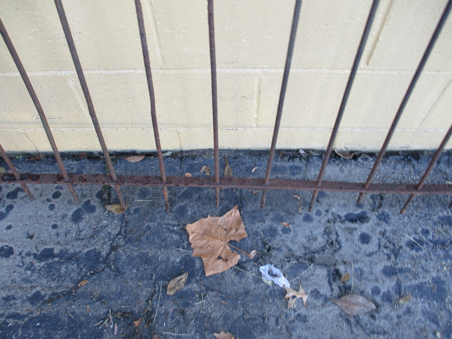 GARDEN 02:  20 feet  x 36" High  Victorian Wrought Iron Fencing Fence 3 sections