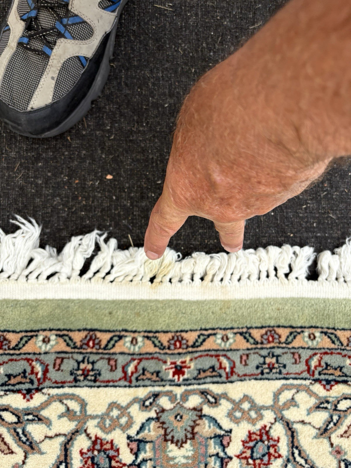 RUG 10: Oriental Carpet Rug SIZE 9' 6" x 6'