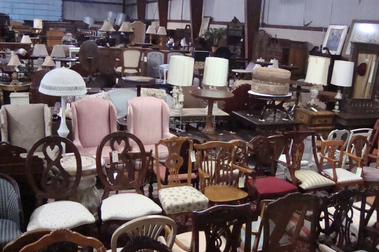 Rug 215 -  SAFAVIEH  JARDIN 100% Wool Carpet Rug  8' x 10' Size